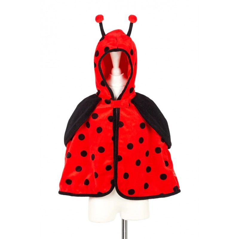 Costume layla coccinelle - Souza for kids