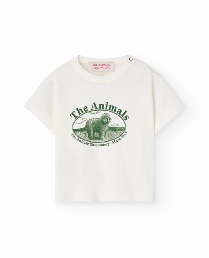 T-shirt baby pangolin white - The animals observatory